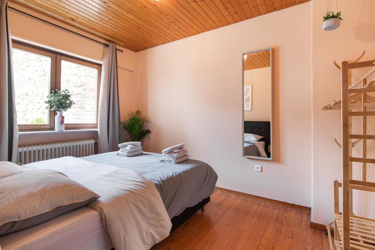 Апартаменты Haus Blaue Traube Mit Moselblick Эдигер-Эллер Экстерьер фото